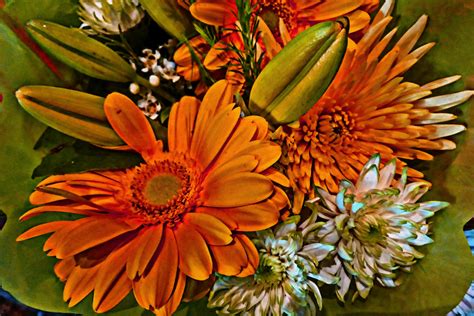 Orange Flower Bouquet Free Stock Photo Public Domain Pictures