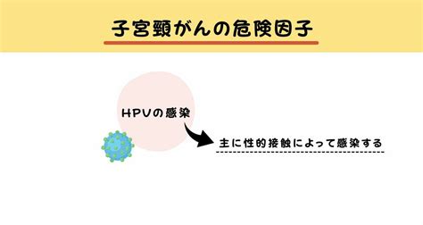 「子宮体がん・子宮頸がん」ができるとどうなる？ 子宮がん の原因や症状を分かりやすく解説！ （おがちゃん先生） エキスパート Yahoo ニュース