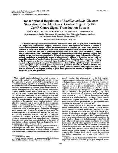 Pdf Transcriptional Regulation Of Bacillus Subtilis Glucose