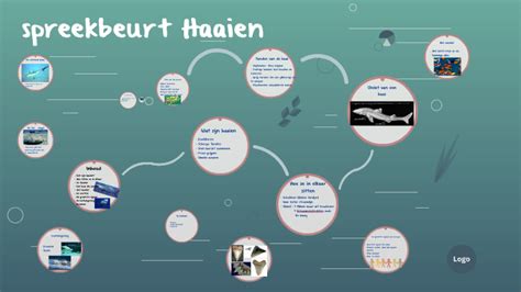 Haaien By Kerim Ertoy On Prezi