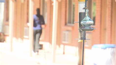 Sex Trafficking Victims Struggle To Overcome Criminal Records Kgun