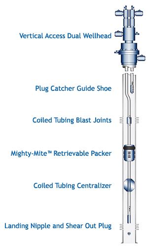 Dual String Completion Dual Zone Select Energy Systems Inc