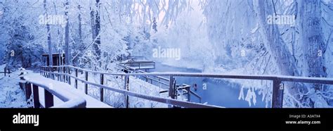 The Alpha Pool at Liard Hot Springs in Winter in Liard River Hot ...