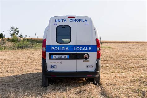 Allestimento Polizia Locale Celiani Allestimento Veicoli