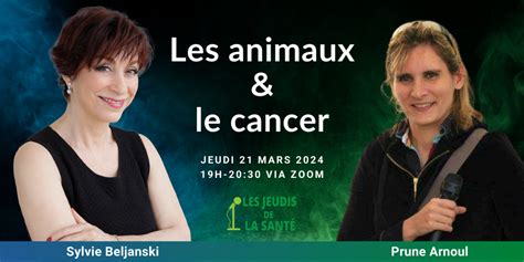 Les Animaux Le Cancer Les Jeudis De La Sant La Fondation Beljanski