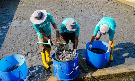 Efishery Raih Pendanaan Rp T Siap Akselerasi Akuakultur Indonesia