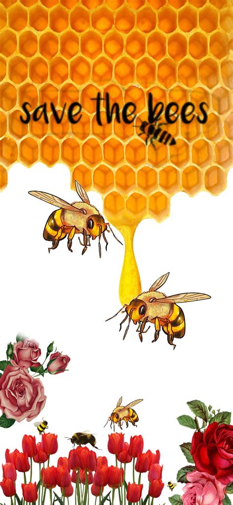 Saves The Bees Bee Flowers Honey Save The Bees Wasps Hd Phone