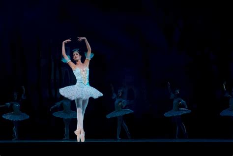 images artist performer ballerina ballet tutu dancer