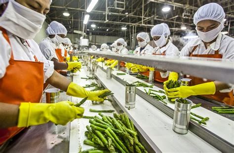 What Are Food Processing Plants At Timothy Souza Blog