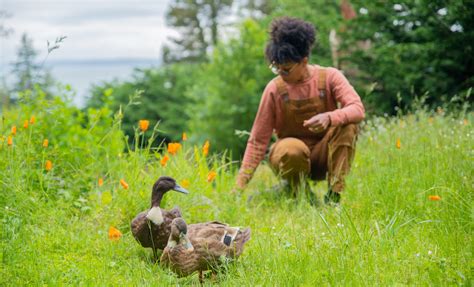 Input Needed For BIPOC Rewilding Workshops