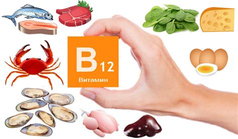Продукты с фолиевой кислотой и витамином B12: список, обзор