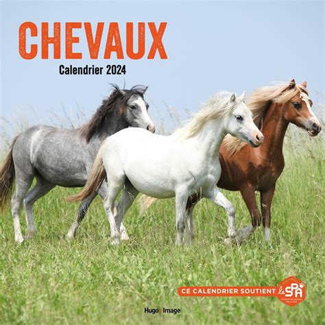 Calendrier Mural Chevaux Collectif Amazon Ca Books