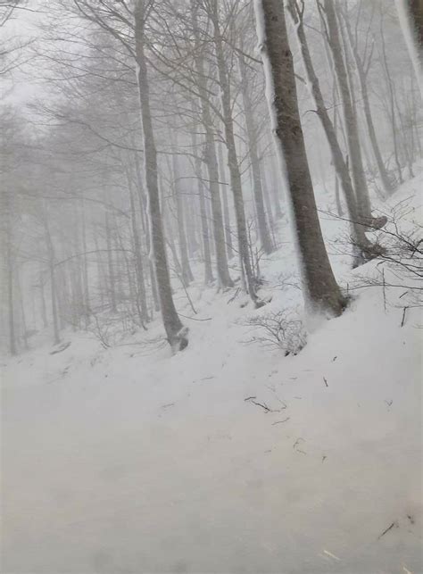 E Primavera Ma In Val Bormida La Neve Imbianca Le Zone Collinari Ivg It