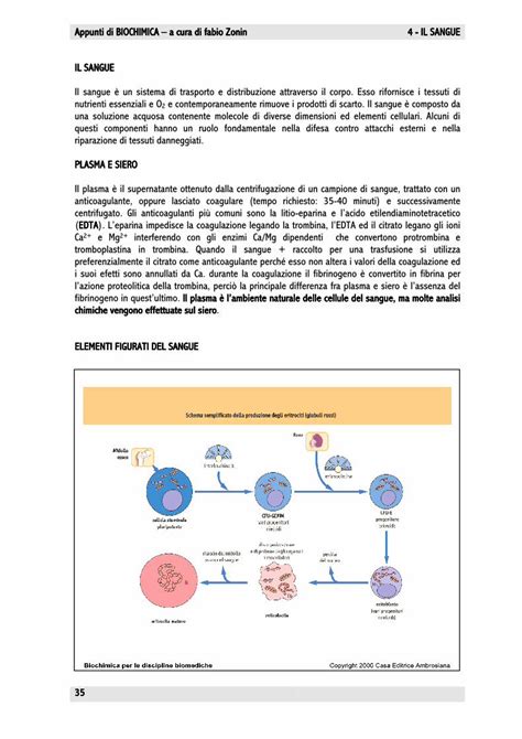 PDF 4 Sangue Cellule E Proteine Plasmatiche DOKUMEN TIPS