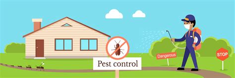 The Best Pest Prevention Steps Luxury Stnd