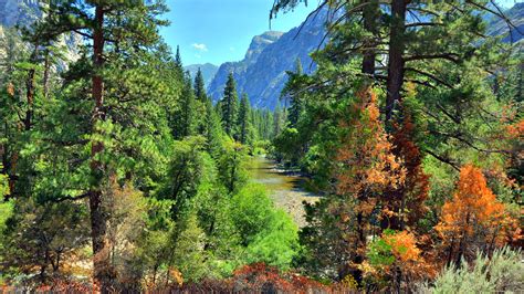 Sequoia National Park Wallpaper Images