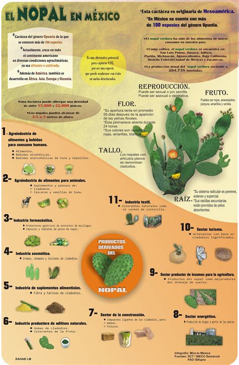 Infografías ~ Mira Tu México