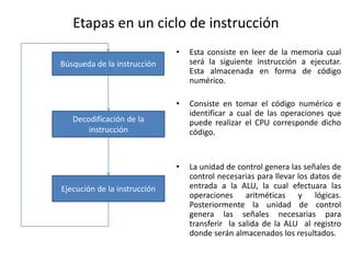 Análisis de los componentes PPT