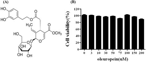 Cell viability effects of oleuropein (Ole). A Structure of oleuropein.... | Download Scientific ...