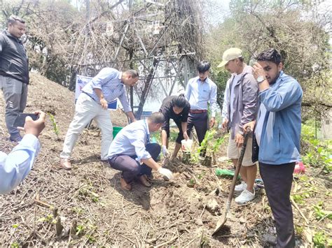 वातावरण दिवसको अवसरमा भक्तपुरमा वृक्षारोपण Khabarhub Khabarhub