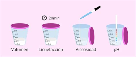 Pruebas Del Estudio Macrosc Pico Del Semen