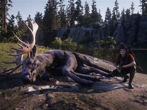 Killed me a moose! Haven’t seen one before, online or in story mode... It’s Big. : r/RedDeadOnline