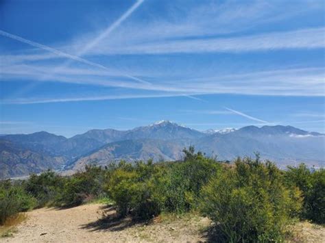 Best Hikes and Trails in Yucaipa Regional Park | AllTrails