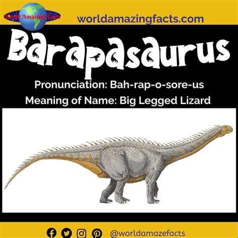 Barapasaurus A Majestic Prehistoric Sauropod