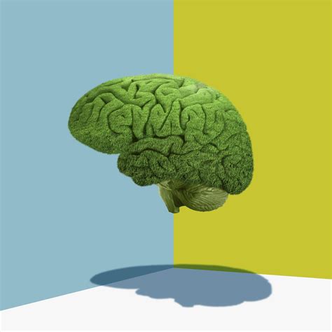 Neuroscience | Latest News, Photos & Videos | WIRED