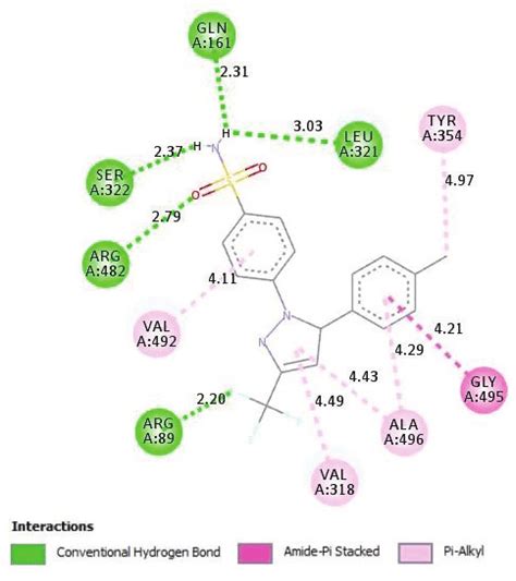 A Hydrogen Bonding Interactions Of Celecoxib With The Cox 2 Protein