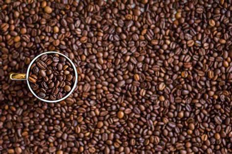 Café natural torrefacto o mezcla en qué se diferencian