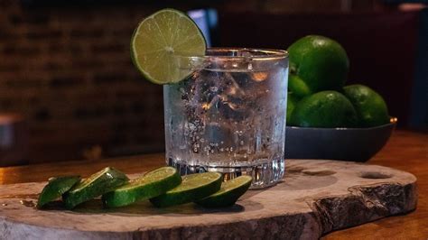 Consejos Para Preparar Un Gin Tonic Perfecto Con Las Mejores Ginebras