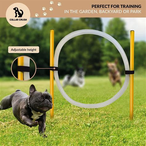 Dog Agility Training Equipment - The Online Doggy Shop