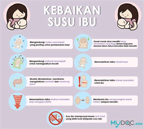 Menyusui Asi Atau Susu Formula Erufu Care