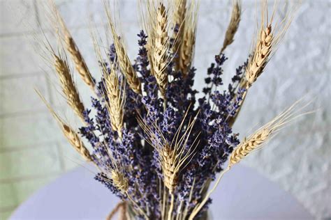 Buy Dried Lavender Wheat Bunch - BloomyBliss