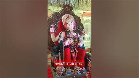 गणपती बाप्पा मोरया मंगलमूर्ती मोरया 🙏🙏🙏 Ganapatibappamorya Ganesh