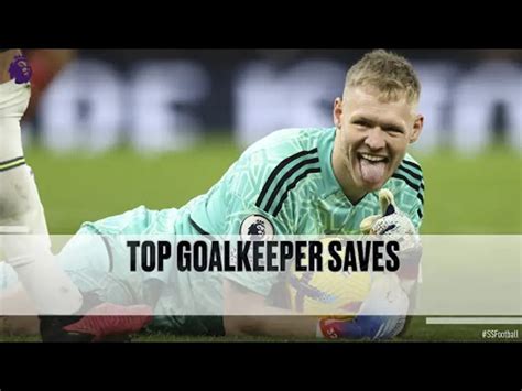 Top 10 Goalkeeper Saves Premier League Matchweek 20 Supersport