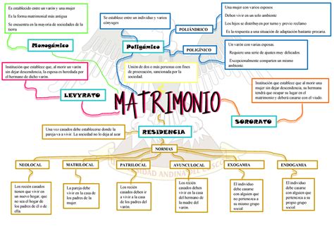 Teoria De Las Situaciones Didacticas Mapa Conceptual Necto Images Hot