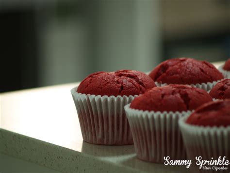 Sammy Sprinkle What S Baking Nude Cupcakes