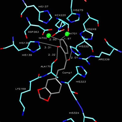 Compound 1 Into The Active Site Of Urease The Molecule In Gray Is The