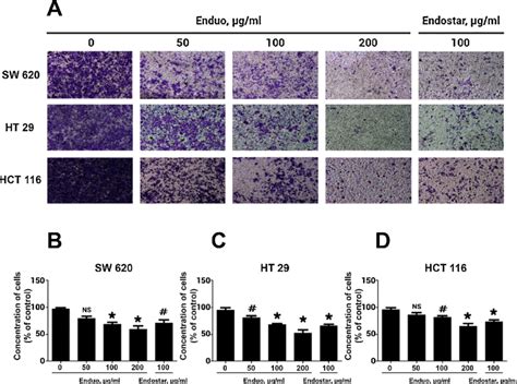 Inhibitory Effect Of Enduo And Endostar On Colon Cancer Migration