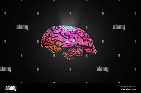 Microchip Se Implanta En El Cerebro Humano Implantes Neurales