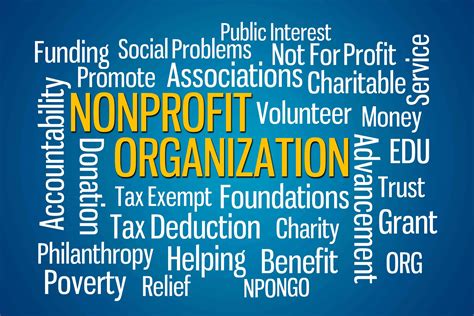 Nonprofit Organization Npo