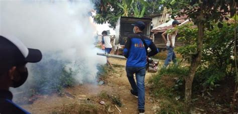 Antisipasi Penyebaran DBD Di Kelurahan Rawasari 5 RT Difogging