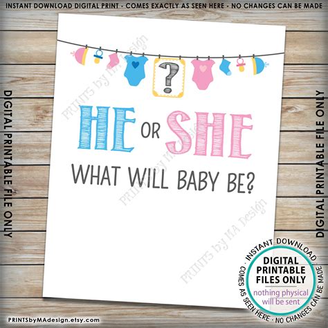 He Or She What Will Baby Be Gender Reveal Party Sign Etsy