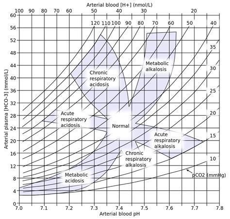 You Know We're All About That Acid/Base | Brown Med-Peds