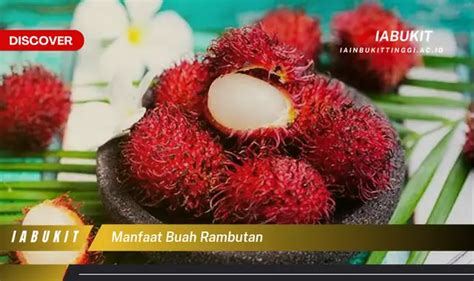 Temukan Manfaat Buah Rambutan Jarang Diketahui Bikin Kamu Penasaran