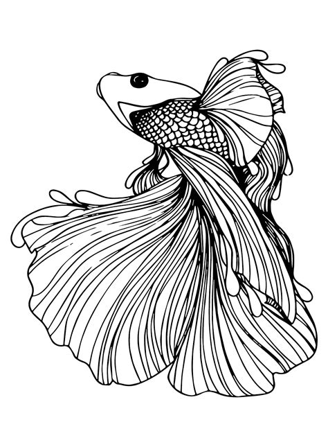 27 Betta Fish Coloring Pages