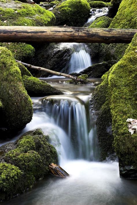 무료 이미지 경치 자연 록 폭포 잎 강 흐름 가을 물줄기 Wasserfall 물 특징 3648x5472