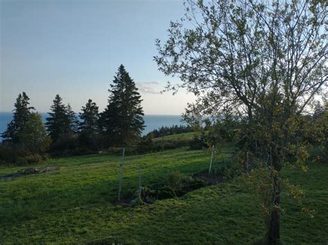 Cottage On Bay Of Fundy Explorenb Tourism New Brunswick